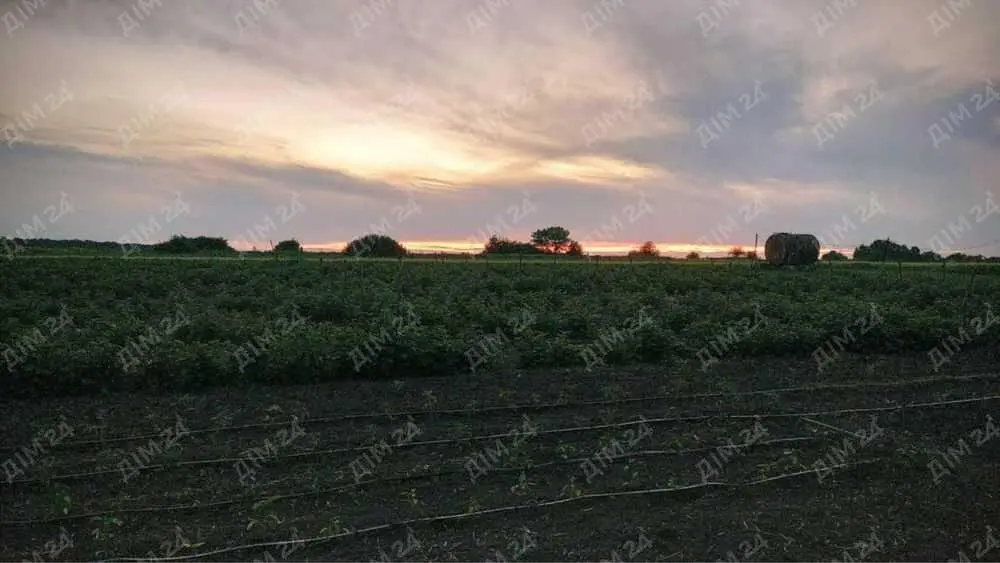 Продаж будинку з фермою та бізнесом в 20 км від Полтави.
