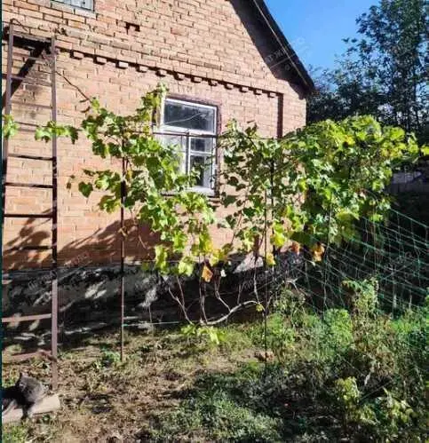 В продажі окремий будинок,р-н Червоний шлях.