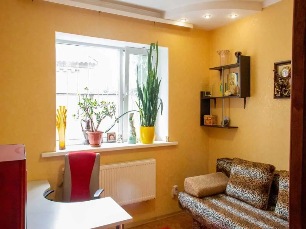 Просторий будинок в передмісті