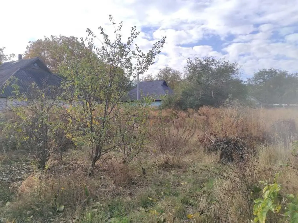 Земельна ділянка в с.Супрунівка