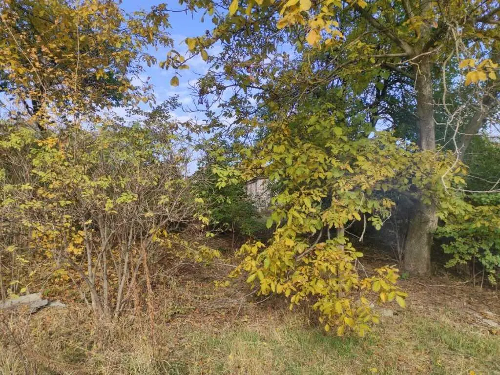 Земельна ділянка в с.Супрунівка