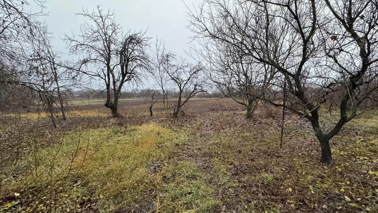Продається будинок у Мачухах — ідеальне місце для спокійного життя!