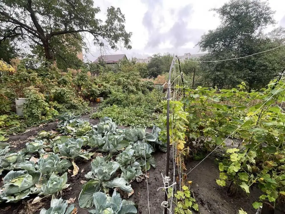 Продаж частини будинку з окремим двором у Полтаві!