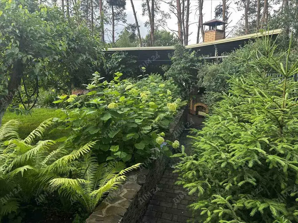 Сосни на ділянці, річка та пляж за воротами. Пошук закінчено!