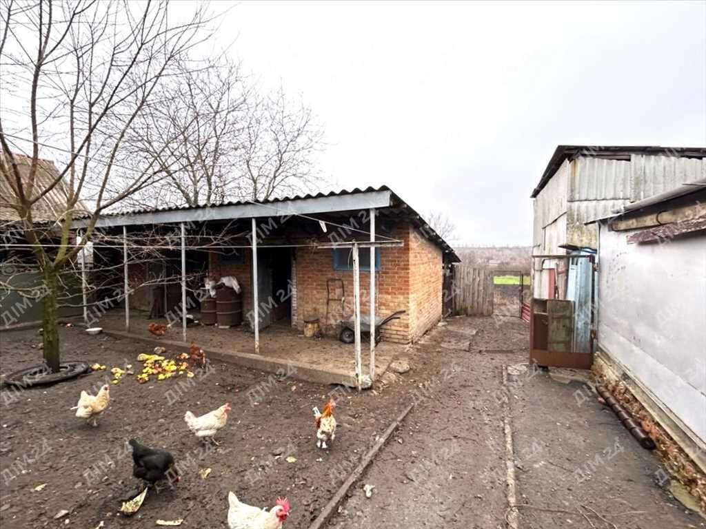 Заміський будинок в живописній місцині!