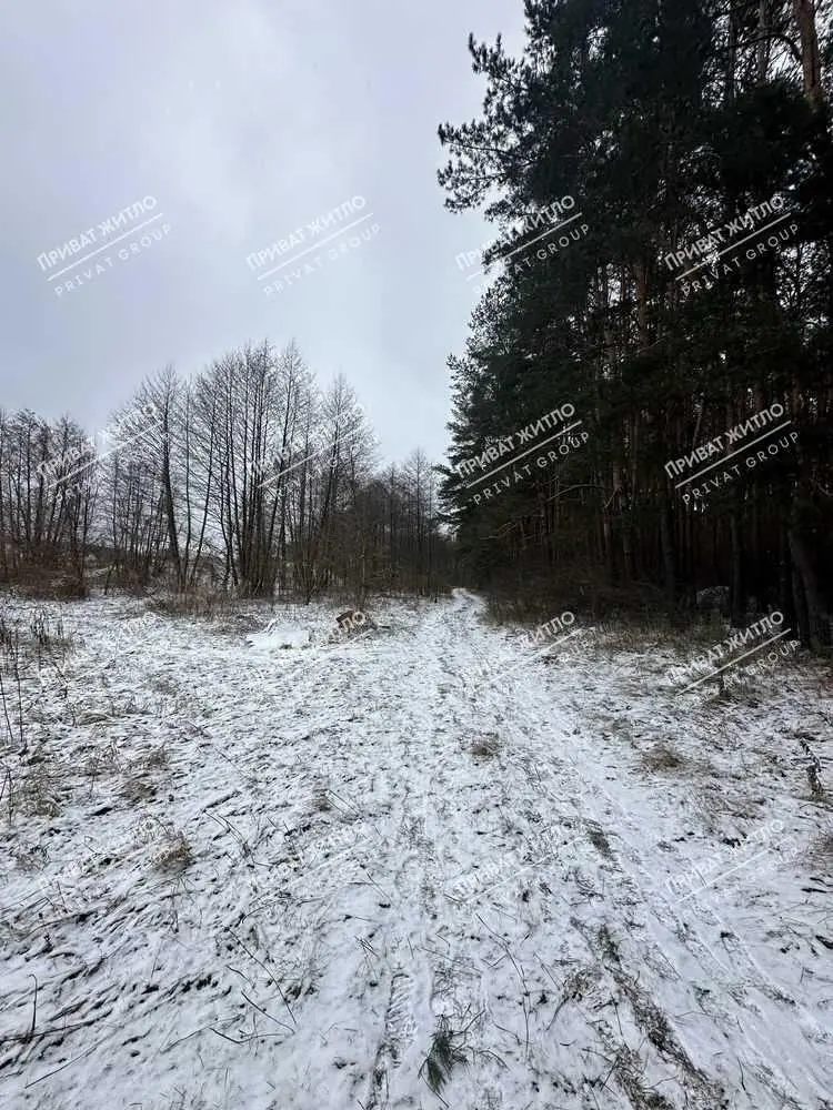  4 ділянки по 10 соток в Вакуленцях