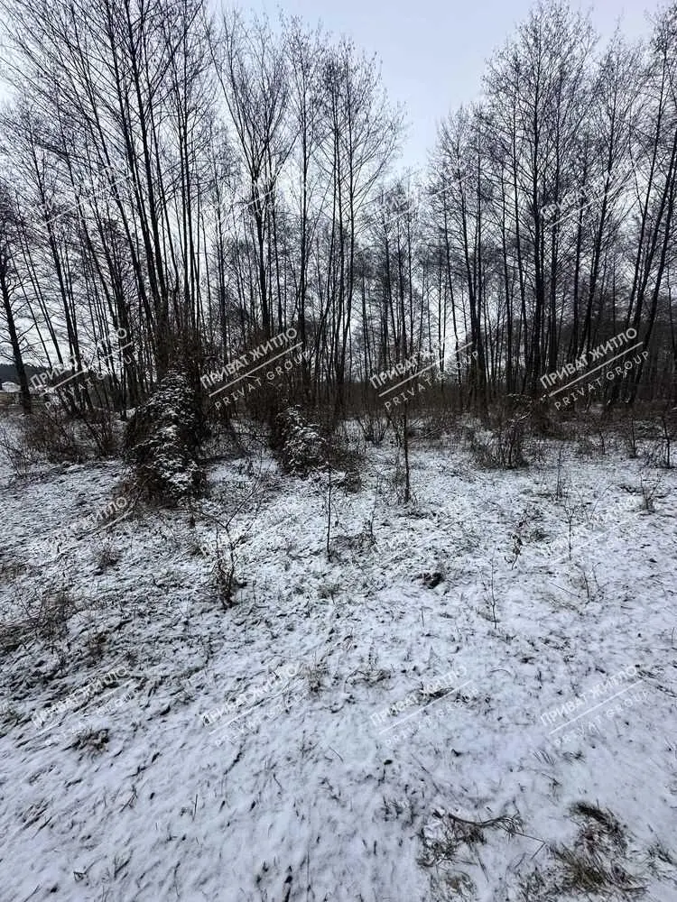  4 ділянки по 10 соток в Вакуленцях