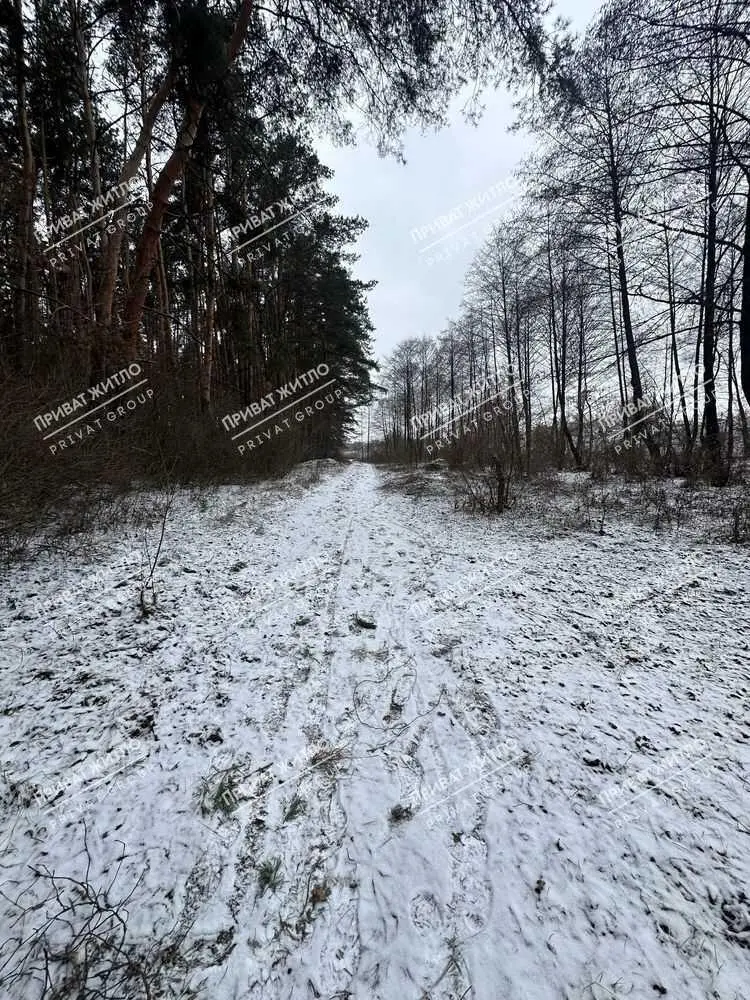  4 ділянки по 10 соток в Вакуленцях