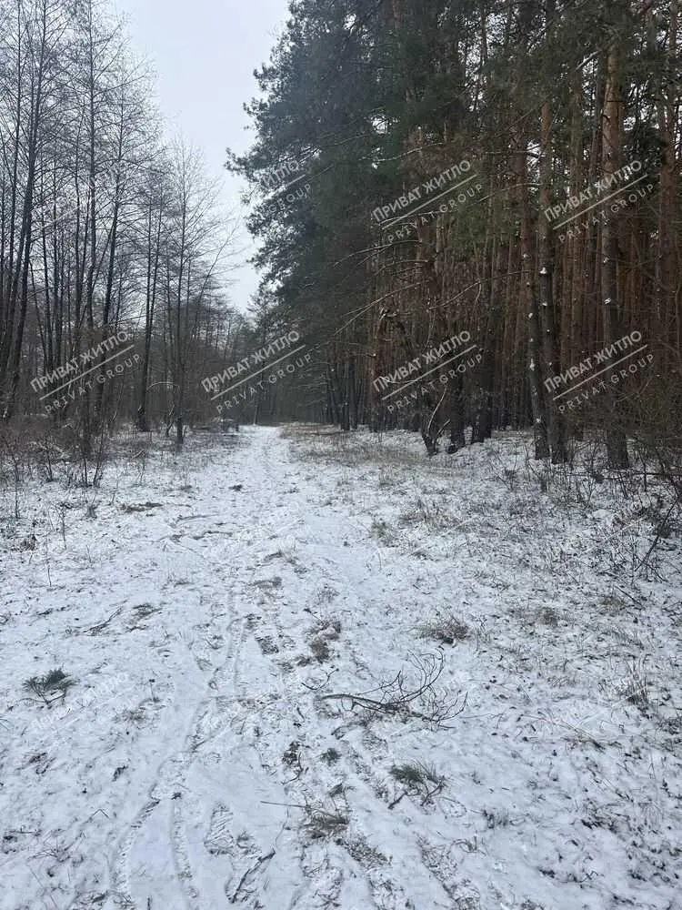  4 ділянки по 10 соток в Вакуленцях