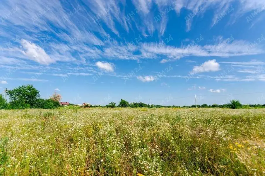 Ділянка в Супрунівці, світло по межі. 