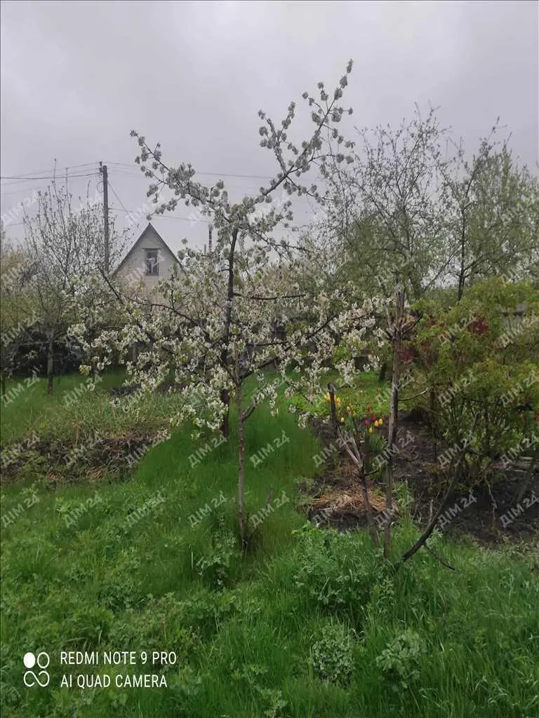 Окремий будинок в 14 км від Полтави.