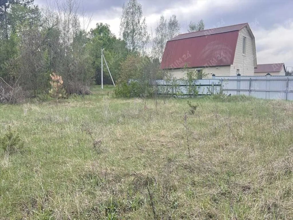 Ділянка в сосновому лісі!