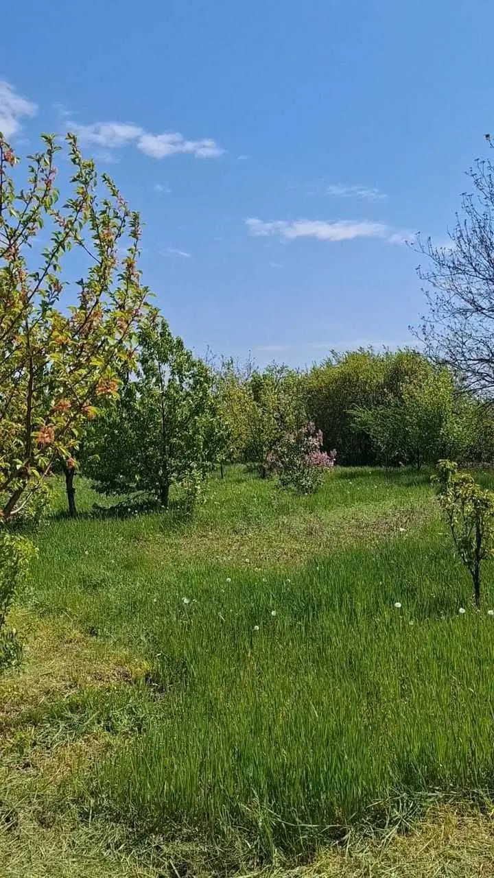 Дача по ціні ділянки! 