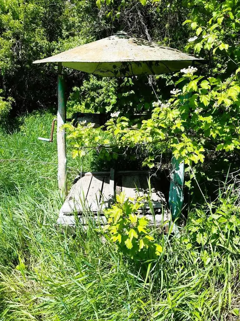 Природний шарм передмістя.