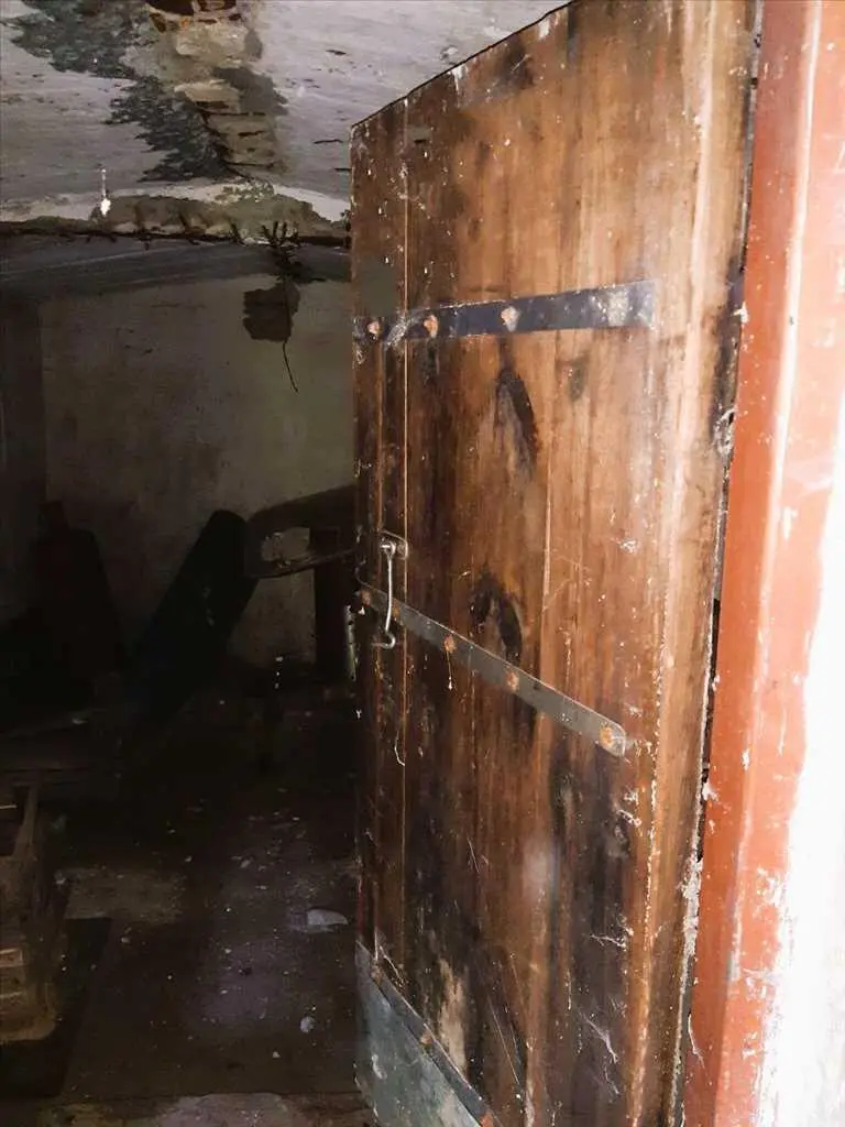 Природний шарм передмістя.