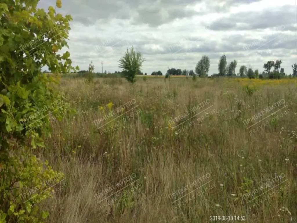Продається земельна ділянка с. Верхоли