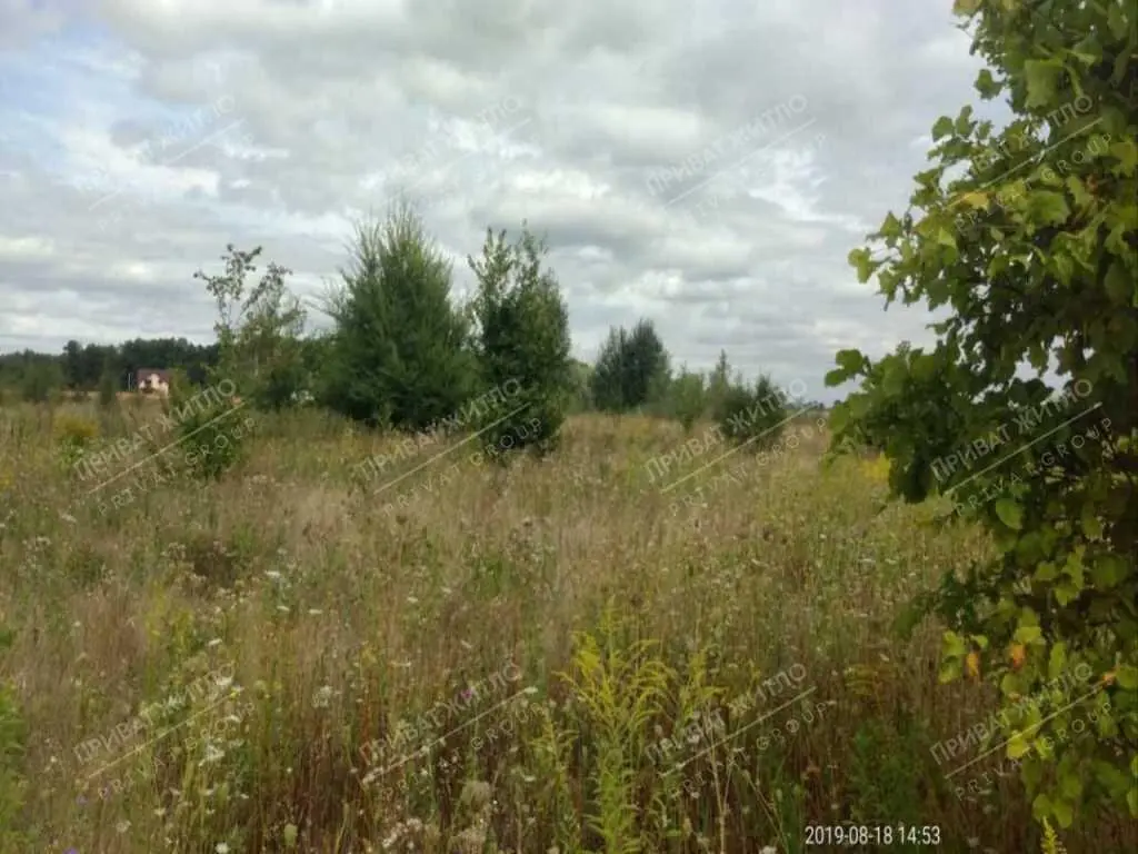 Продається земельна ділянка с. Верхоли