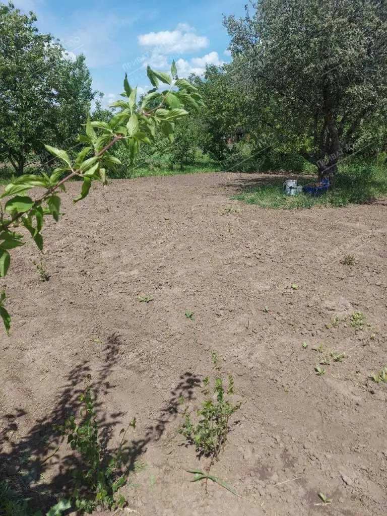 Продається ділянка в дачному кооперативі