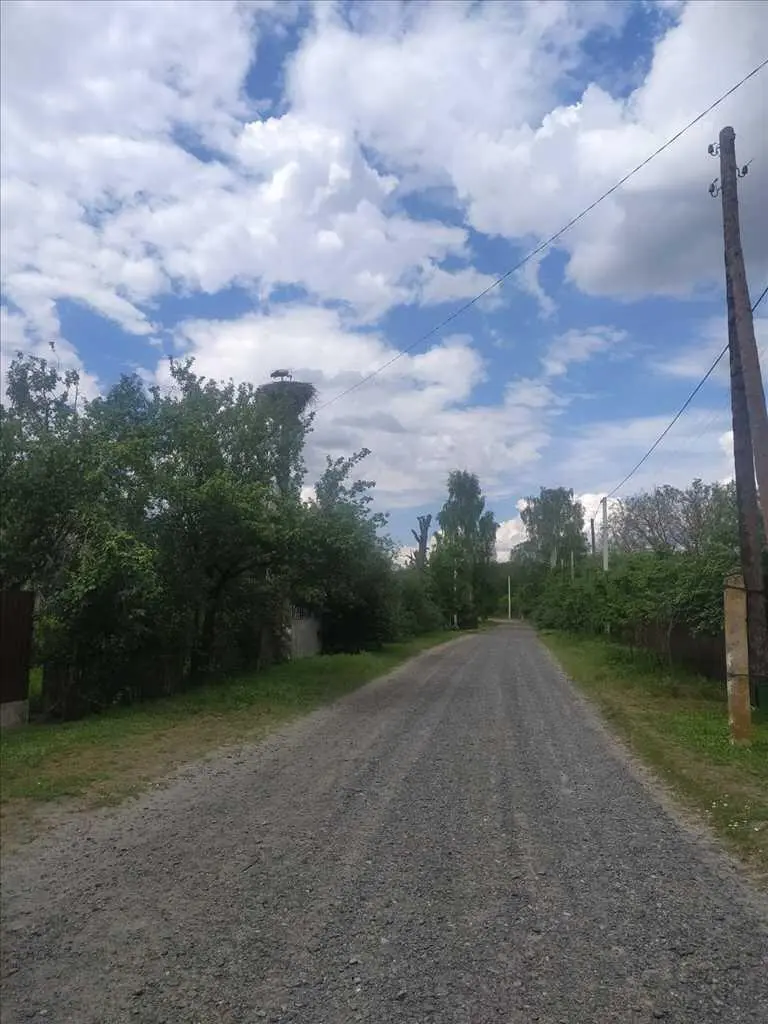 Чудова ділянка біля соснового лісу та пляжу в с. Головач