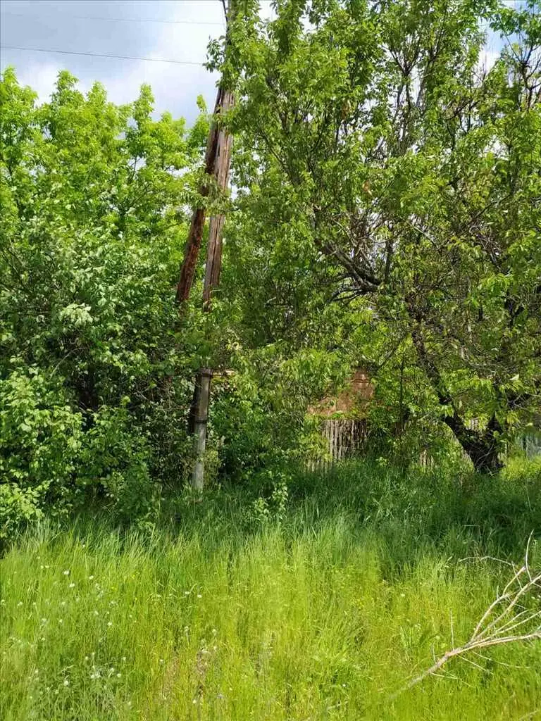 Чудова ділянка біля соснового лісу та пляжу в с. Головач