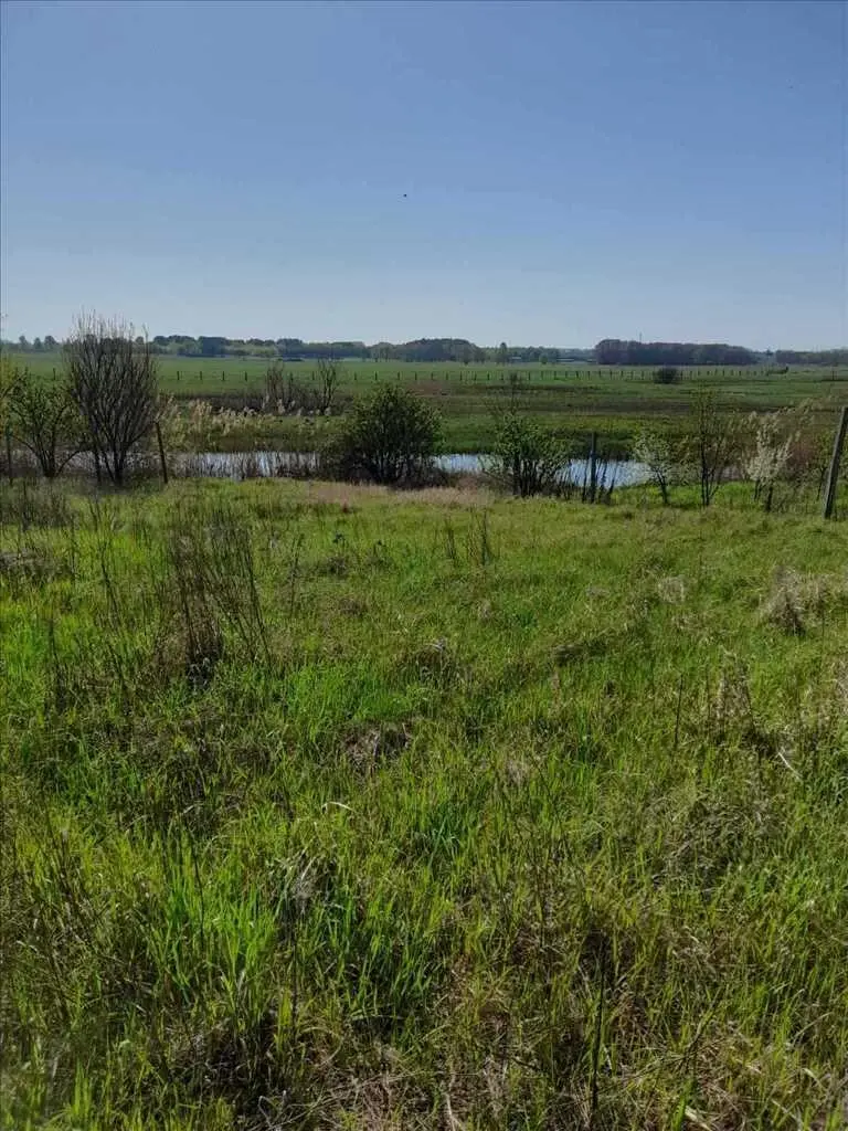 Ковалівка.Ділянка з виходом на Коломак. 