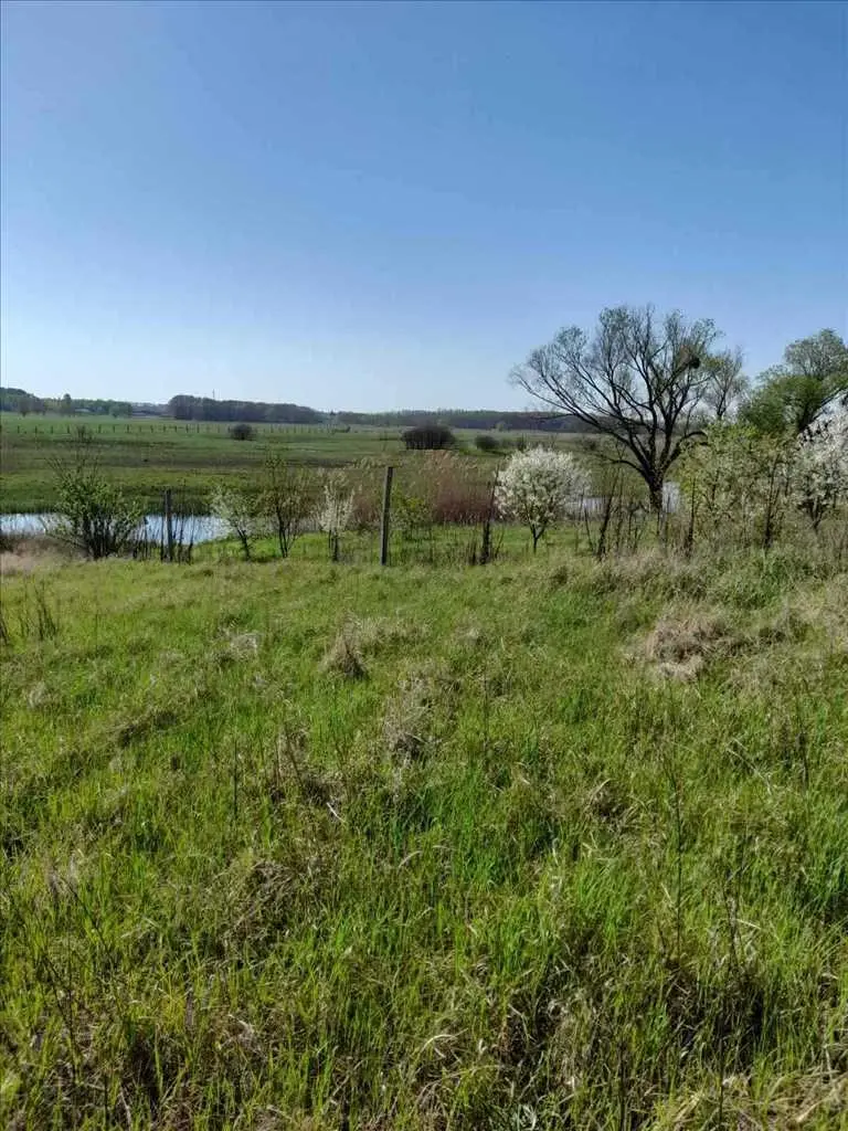 Ковалівка.Ділянка з виходом на Коломак. 