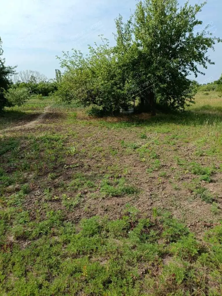 Продається земельна ділянка в с. Супрунівка, 15 соток.
