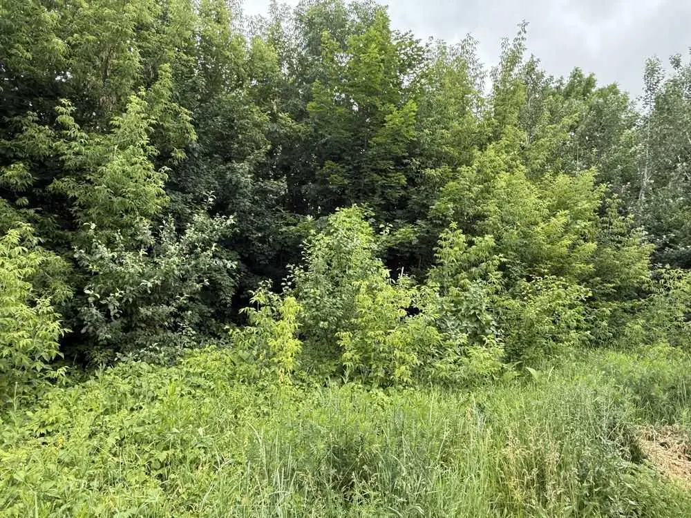 Продаж однієї або декількох земельних ділянки в гарній локації