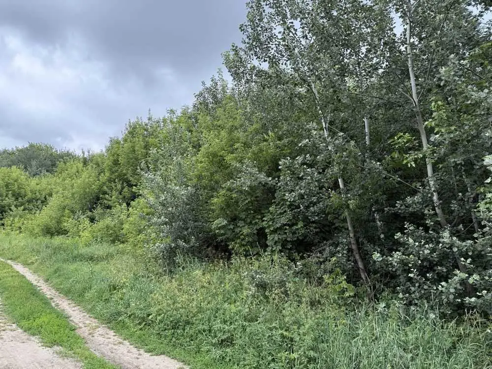 Продаж однієї або декількох земельних ділянки в гарній локації