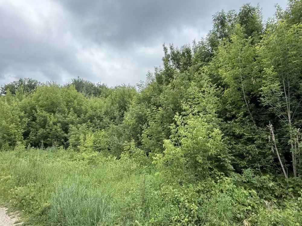 Продаж однієї або декількох земельних ділянки в гарній локації