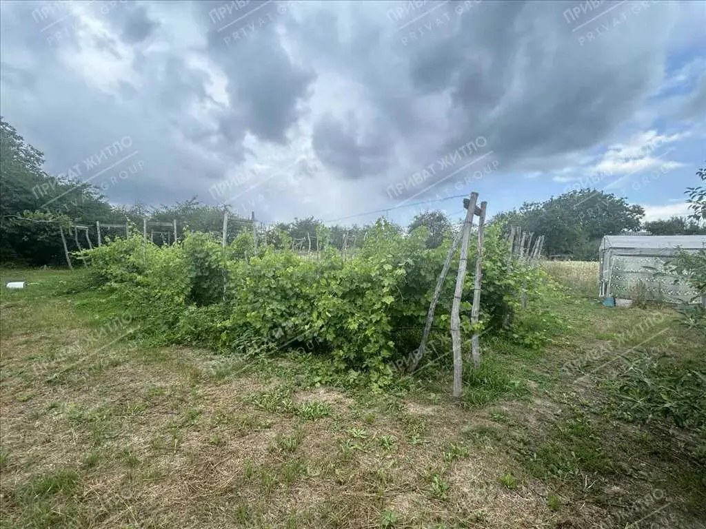 Затишний будинок з ділянкою в передмісті Полтави