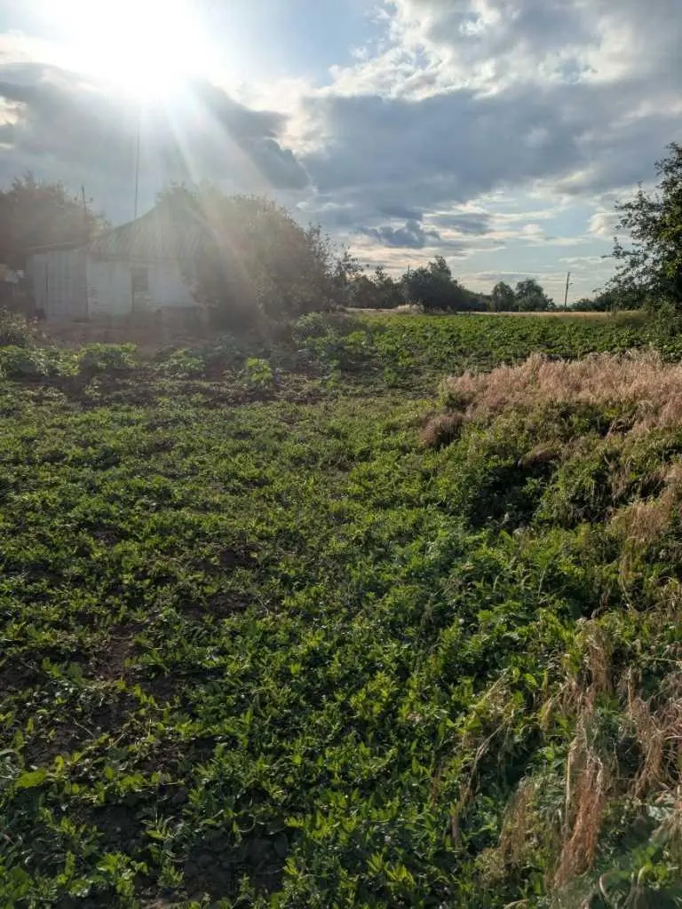 Будинок під капітальний ремонт