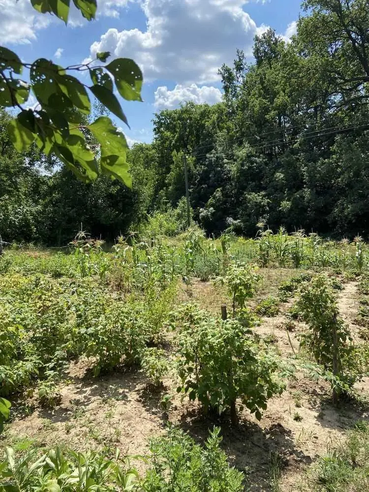 Ділянка під забудову в межах Полтави!