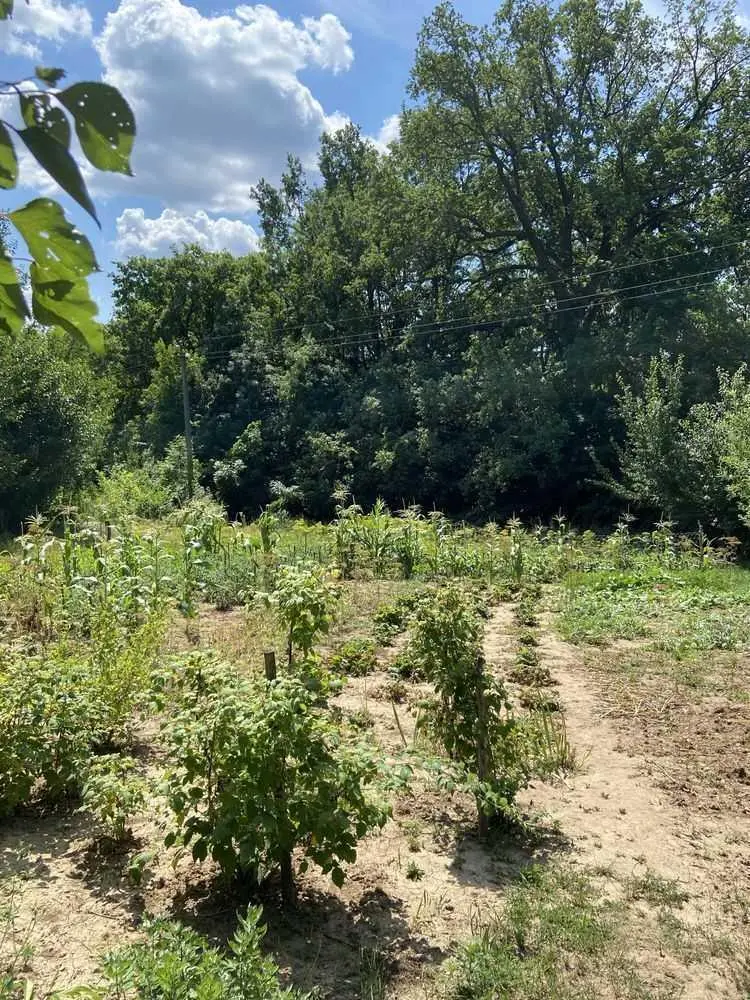 Ділянка під забудову в межах Полтави!