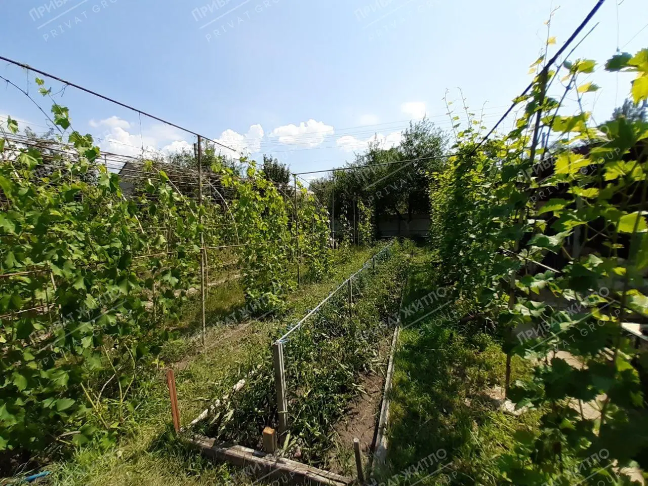 Просторий будинок у Патлаївці