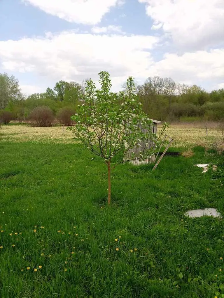 Місце, де ваші ідеї оживуть!