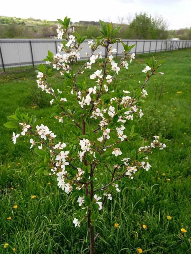 Місце, де ваші ідеї оживуть!