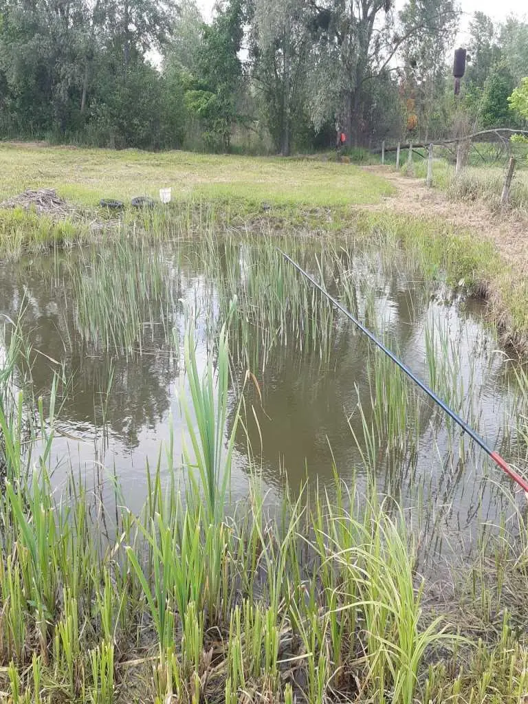 Місце, де ваші ідеї оживуть!