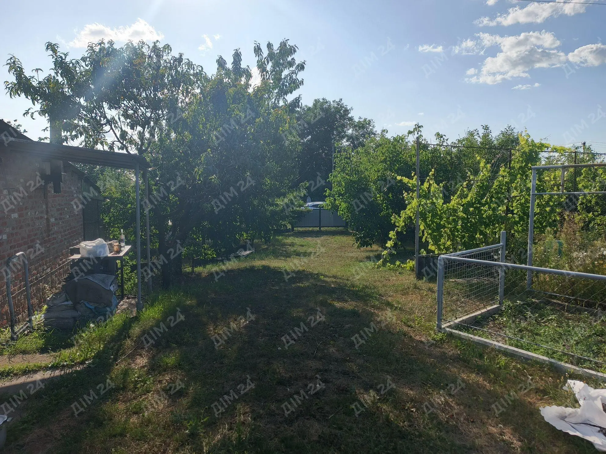 Селещина. Ділянка багатоцільового направлення.