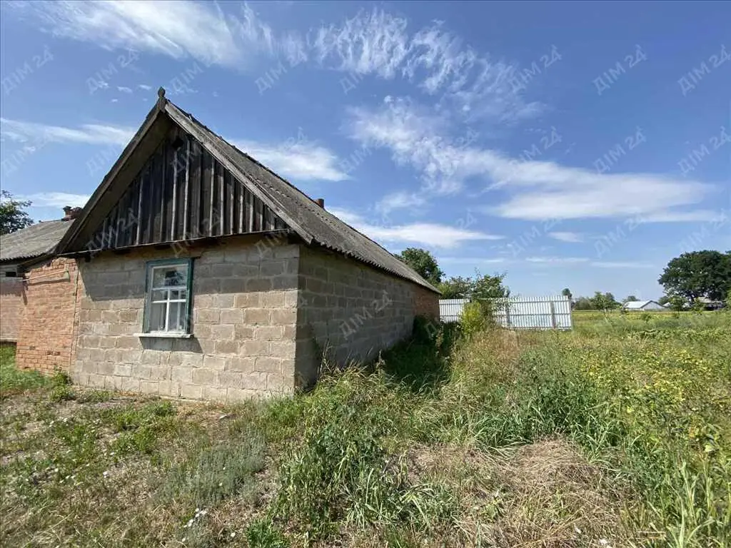 Будинок з великою ділянкою біля лісу!