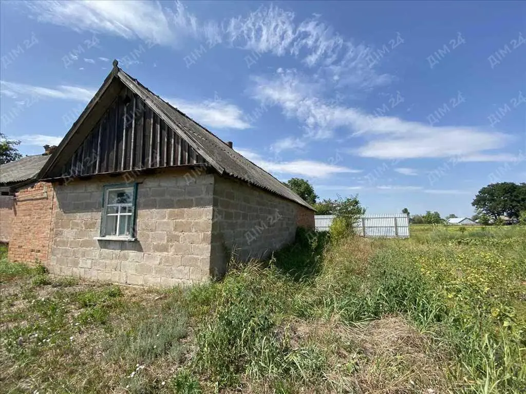 Будинок з великою ділянкою біля лісу!