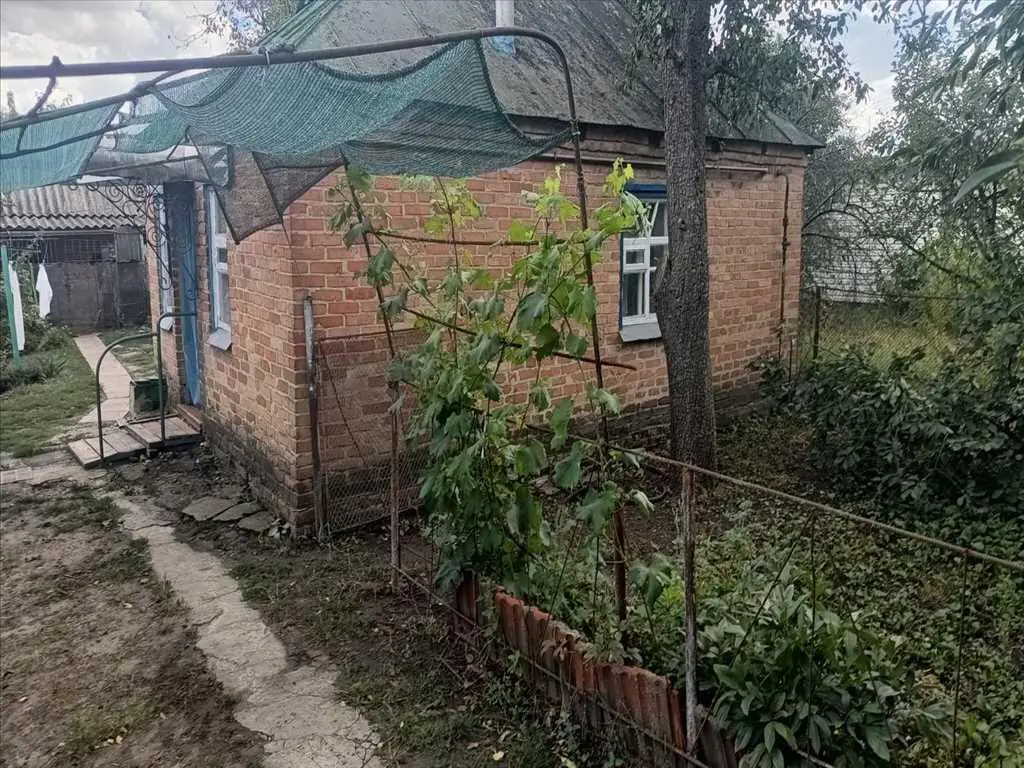 Бюджетна пропозиція для двох родин в Новосанжарському районі