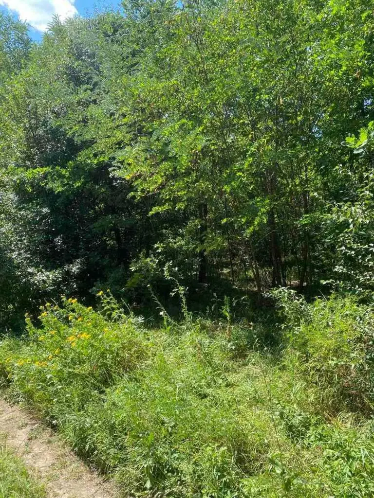 Шикарна ділянка біля ставків