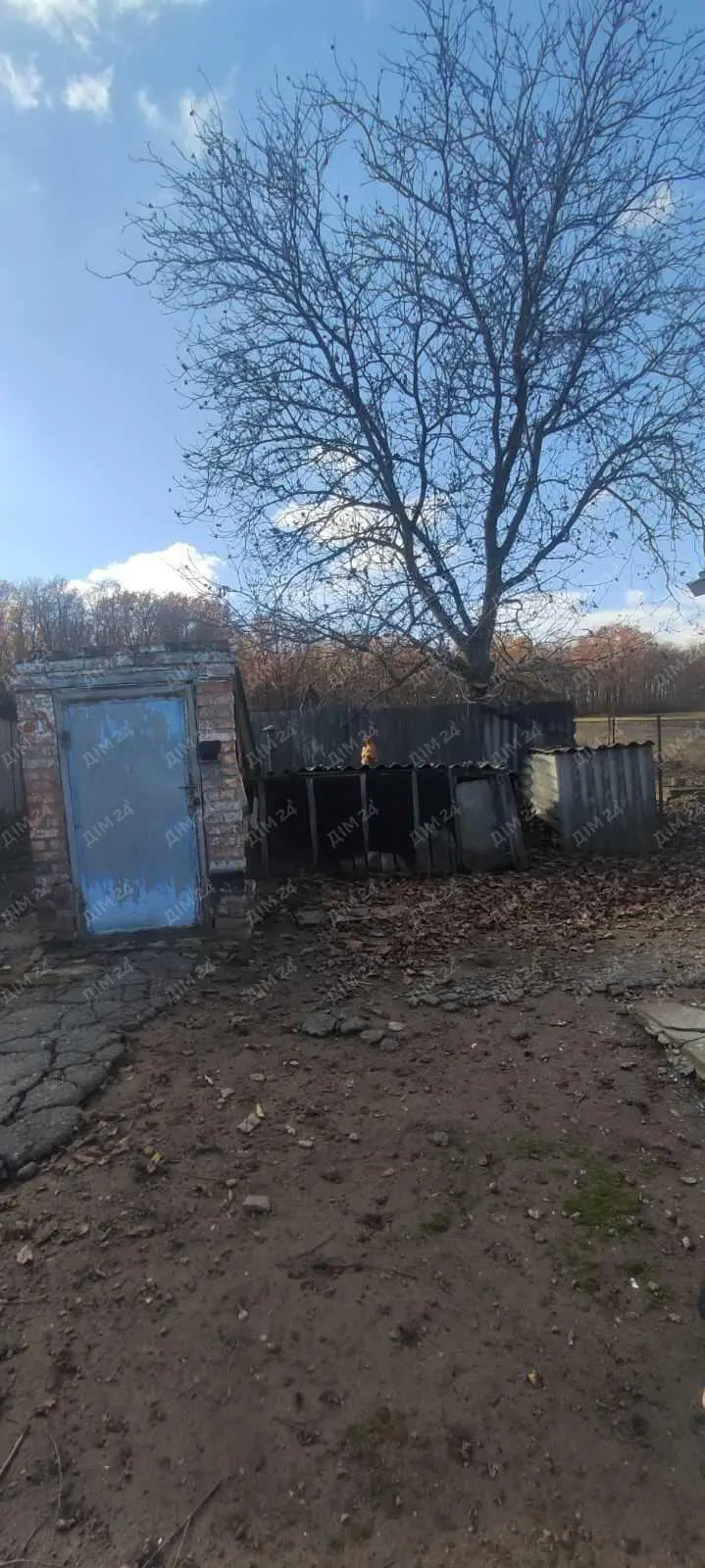 Окремий будинок поруч з містом.