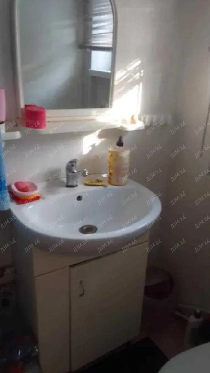 Окремий будинок в Нових Санжарах