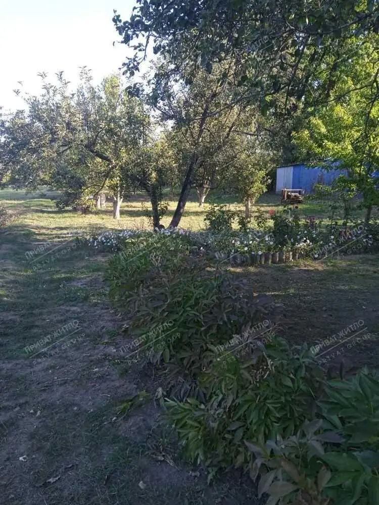 Продається ділянка під забудову с. Жуки