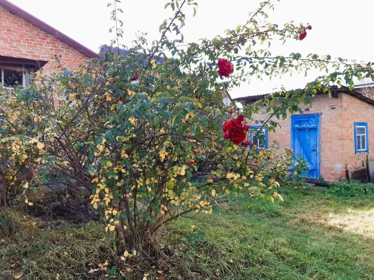  Ідеальна локація на Зеленому острові.