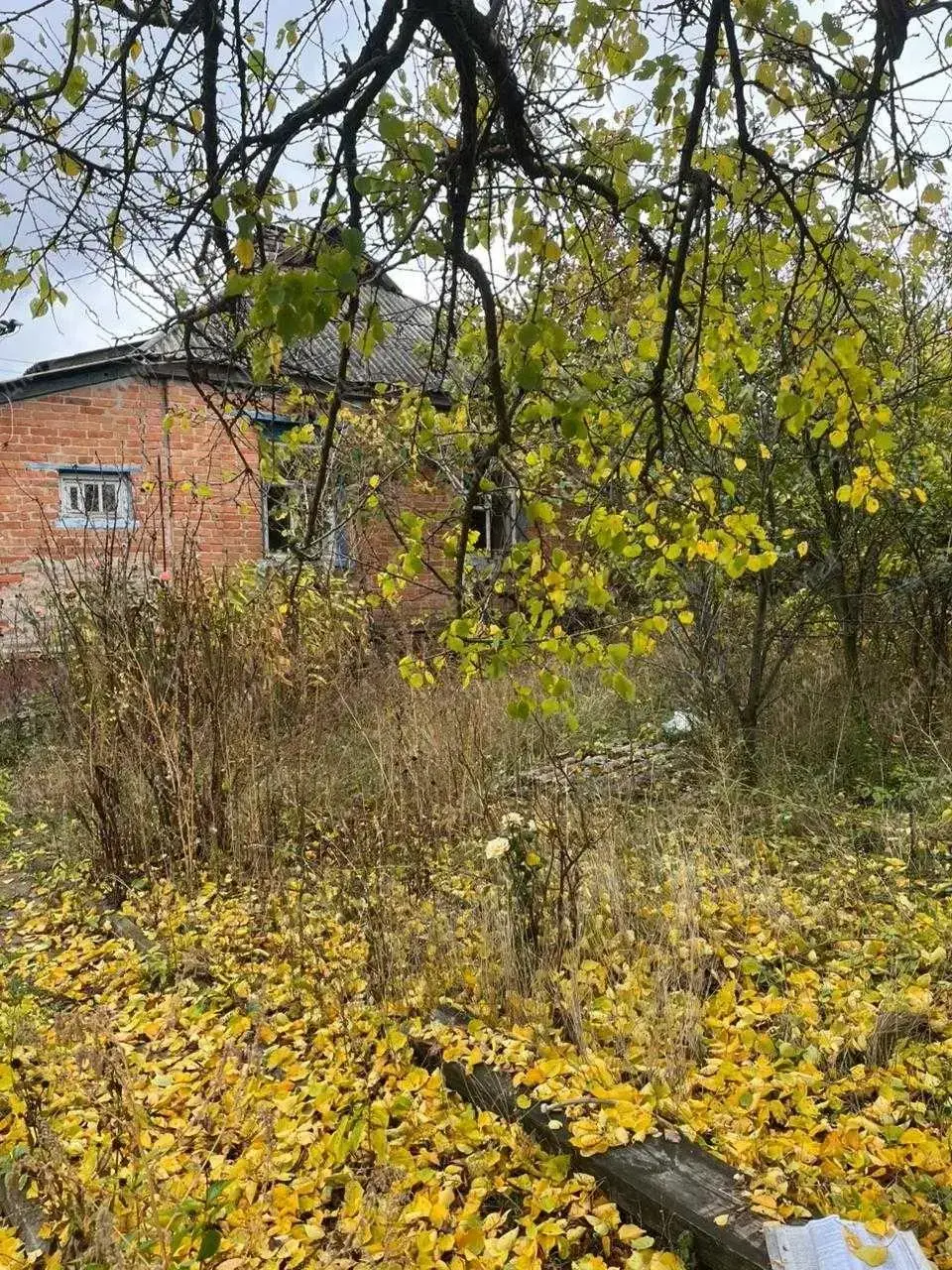 Будинок у Нових Санжарах.