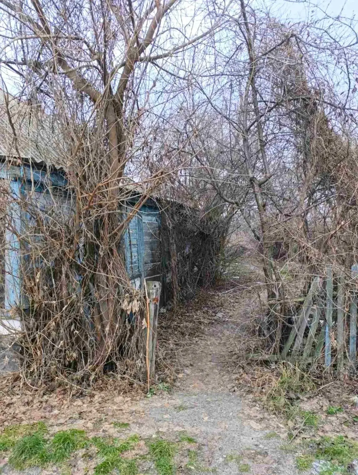 Ділянка з виходом до річки в Решетилівці