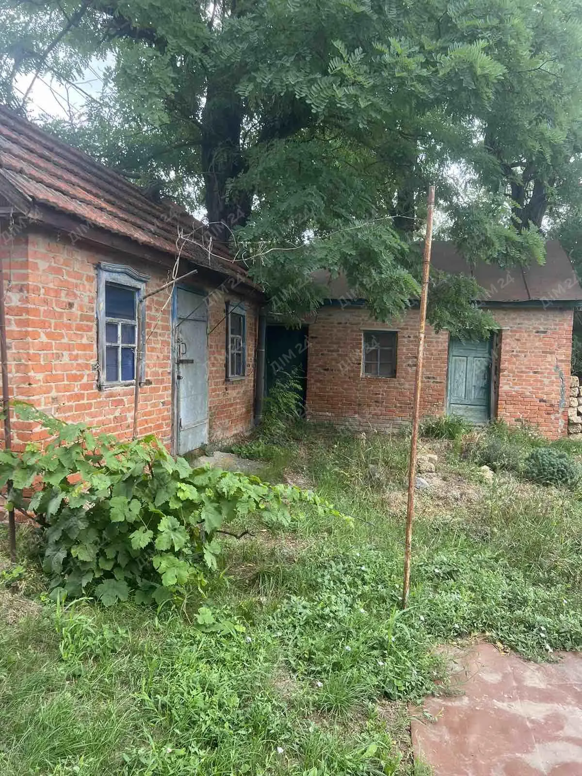 Будинок в гарному стані